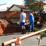 Equipe do Daea trabalha no Ivo Tozzi