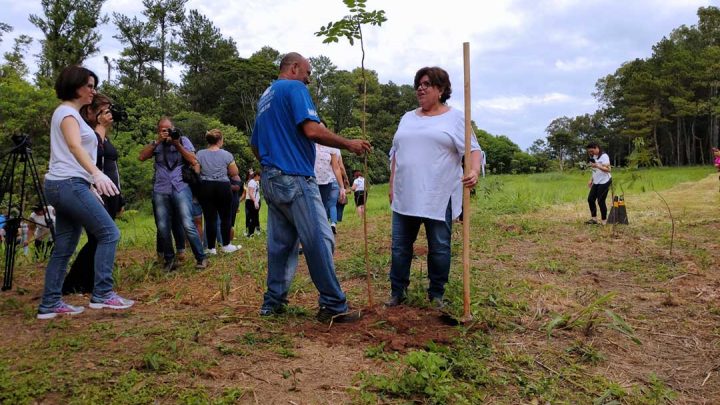 Mulheres plantam árvores em Araçatuba para comemorar o seu dia; veja fotos e vídeo