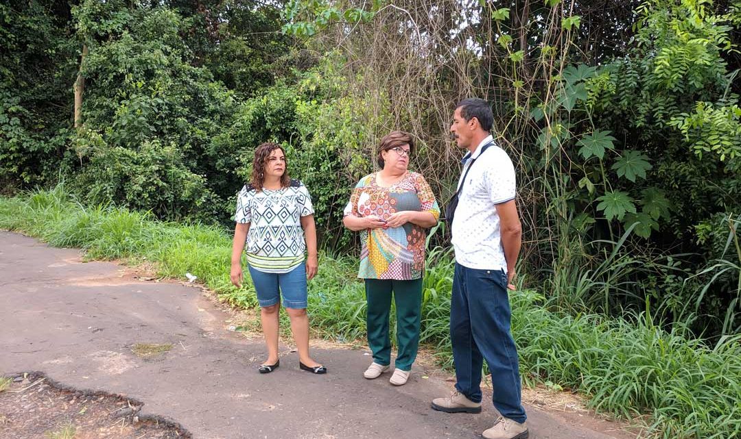 Moradores pedem ajuda a Tieza por causa de boca de lobo entupida e calçada com mato no Pedro Perri